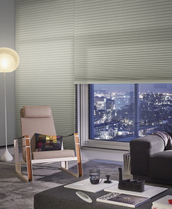 Honeycomb Shades